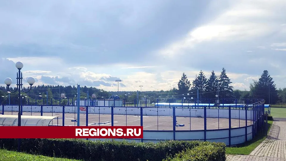 Фото: Хавива Фонина