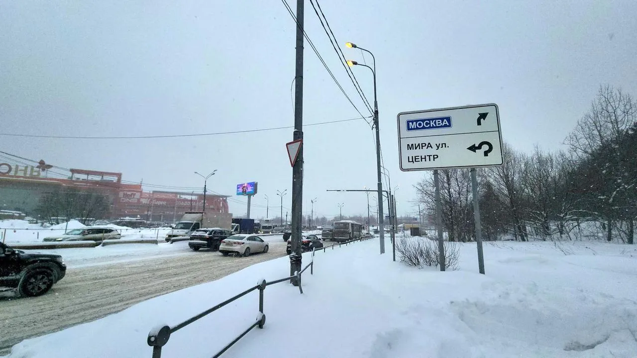 МедиаБанк Подмосковья/Валерия Исаева