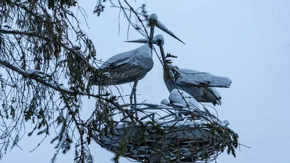 Фото: REGIONS/Роман Малышенко