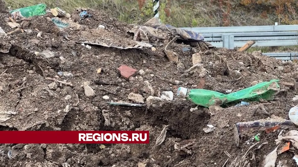 Фото: Валерия Ерофеева