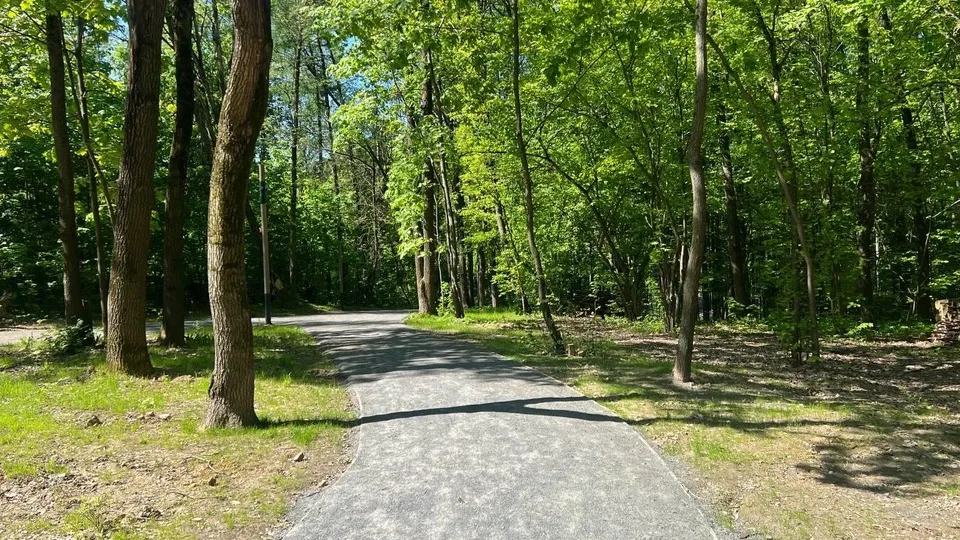 Фото: министерство благоустройства Московской области