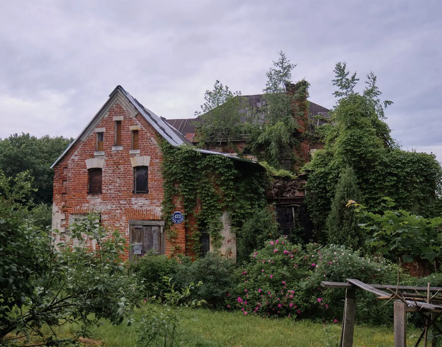 Наши дни. Фото: t.me/zelenyi_dyatel