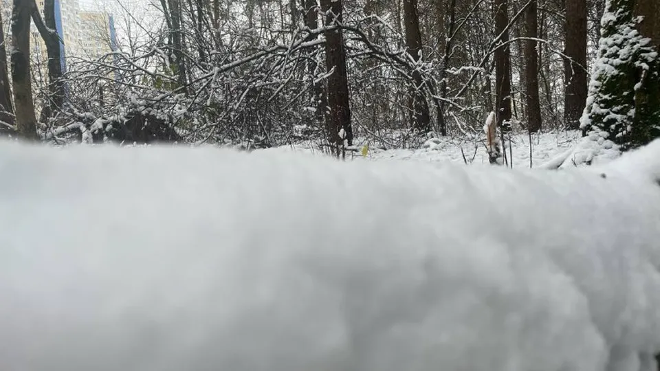 Фото: Андрей Егоров