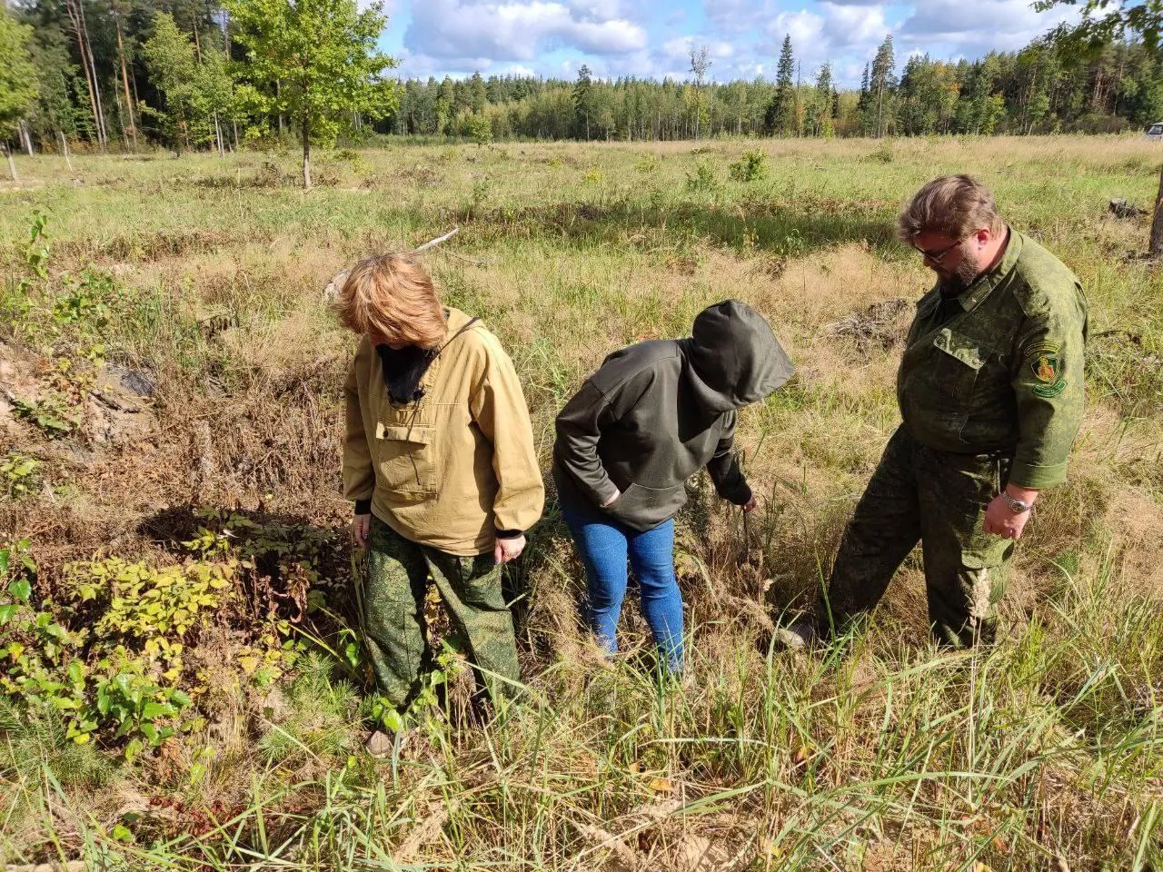 Фото: Комитет лесного хозяйства Московской области