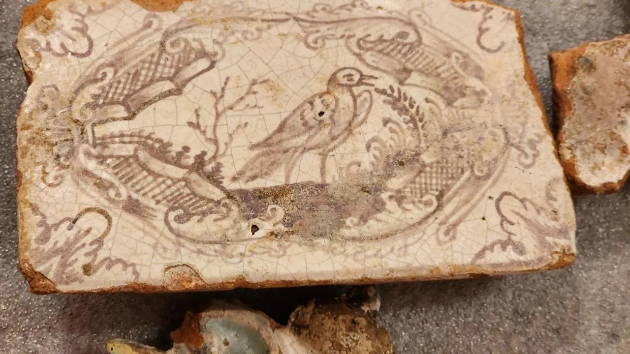 REGIONS/Елена Шумакова