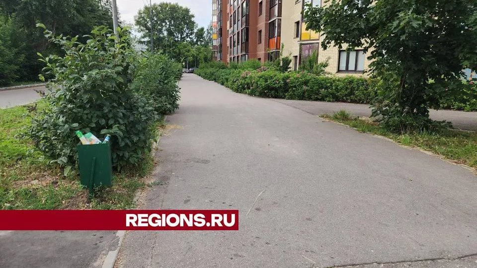 Фото: Ольга Сычева