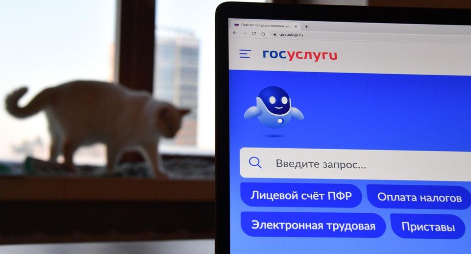 «Госуслуги» начали перезагрузку для перехода к комплексным цифровым сервисам