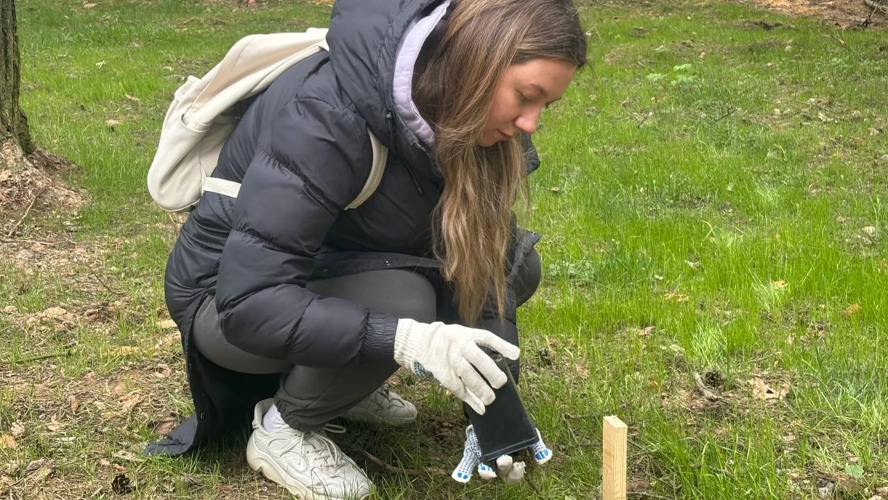 Всероссийский субботник 2025