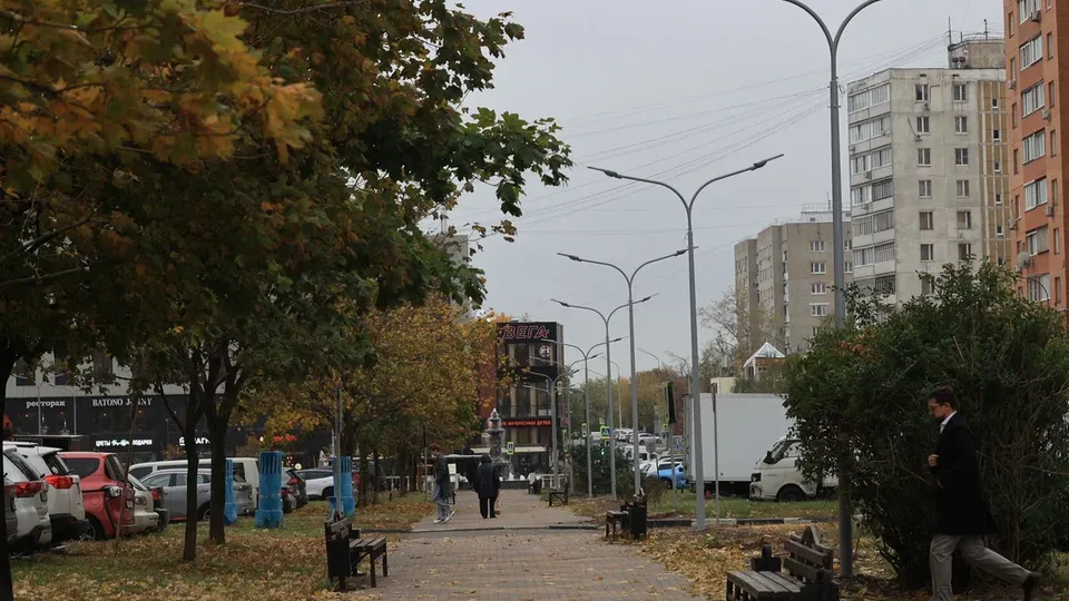 Фото: Алексей Грызлов