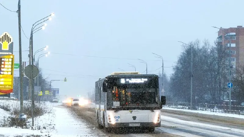 Фото: пресс-служба губернатора и правительства Московской области