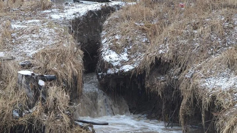 Фото: Министерство экологии и природопользования Московской области