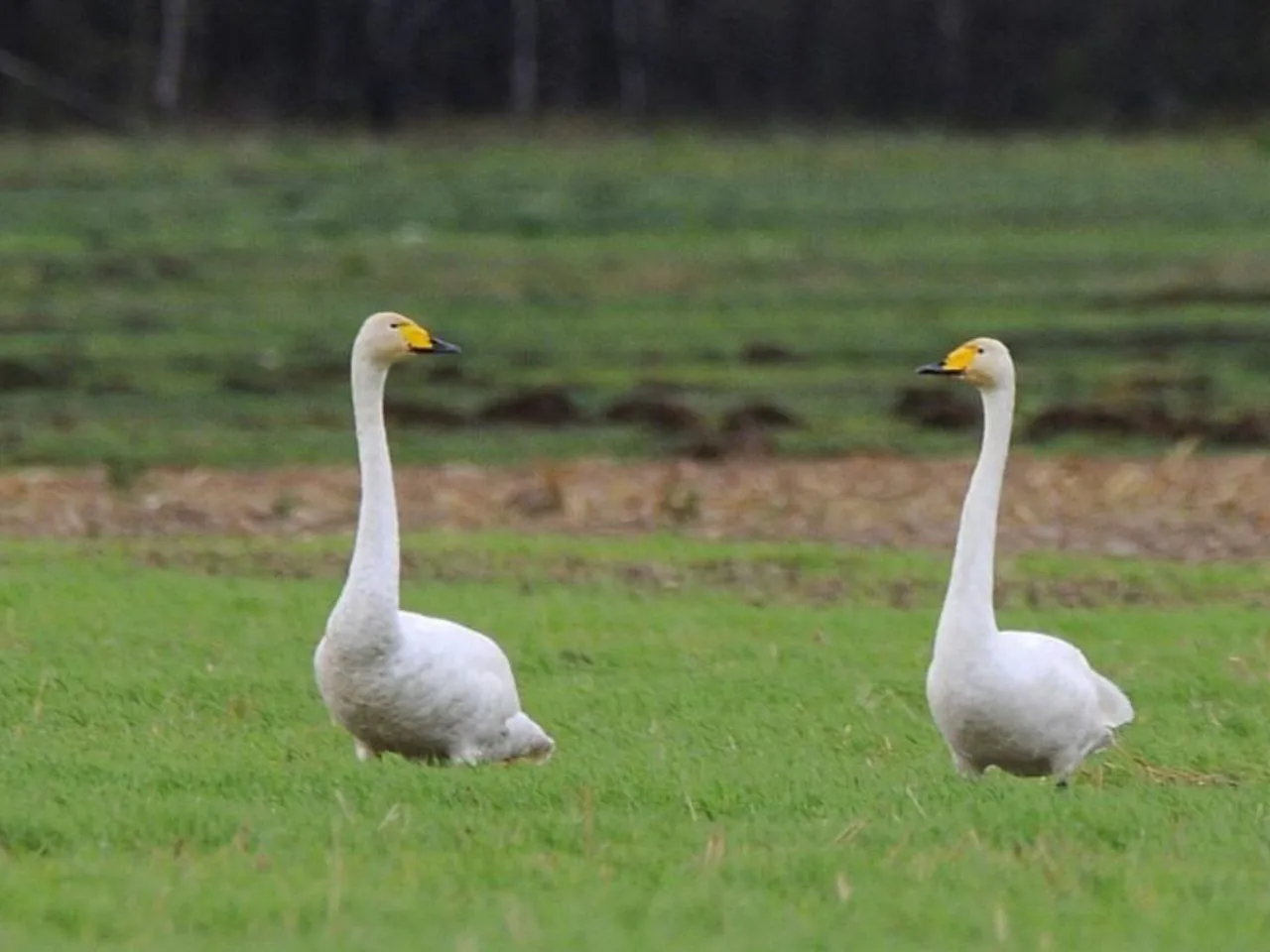 Фото: предоставлено Верой Ермаковой