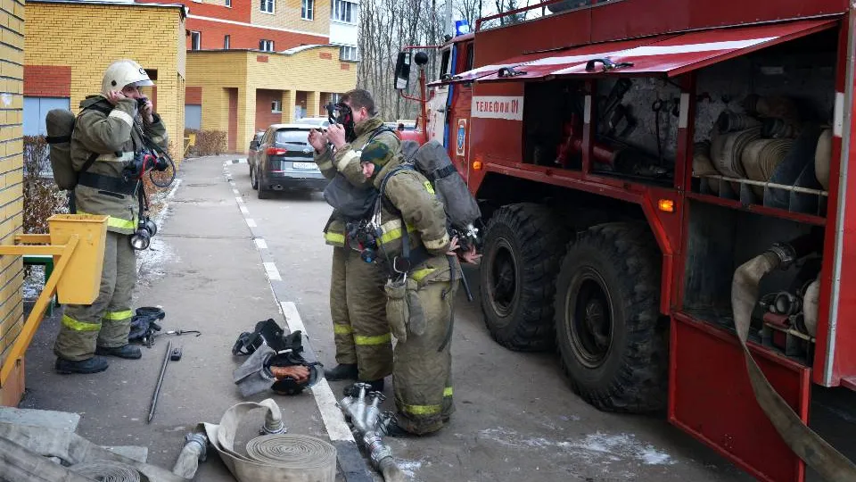 Фото: Медиаархив Подмосковья