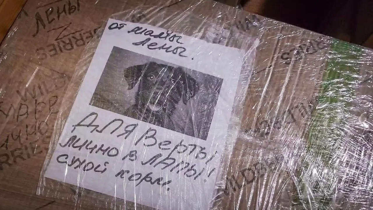 МедиаБанк Подмосковья/Ольга Антонова