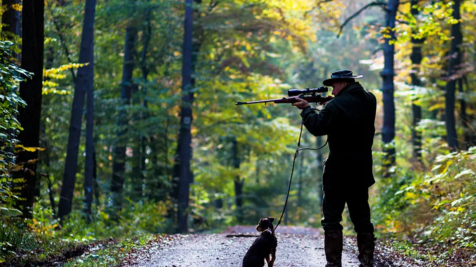 Фото: TASS/DPA/Christoph Schmidt