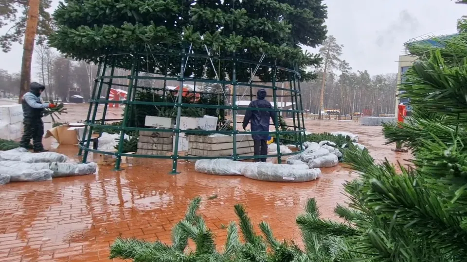 Фото: Виктория Фортуна