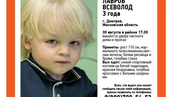 Внука главы Дмитровского района подбросили в багажник родителей