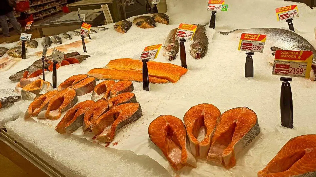 REGIONS/Эльвира Сафина