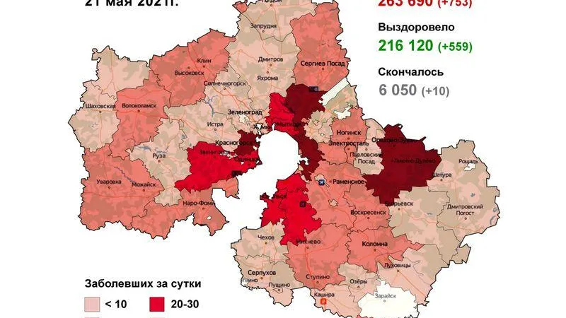 Пушкино и Красногорск. Худшие округа по COVID-19 назвали в Подмосковье