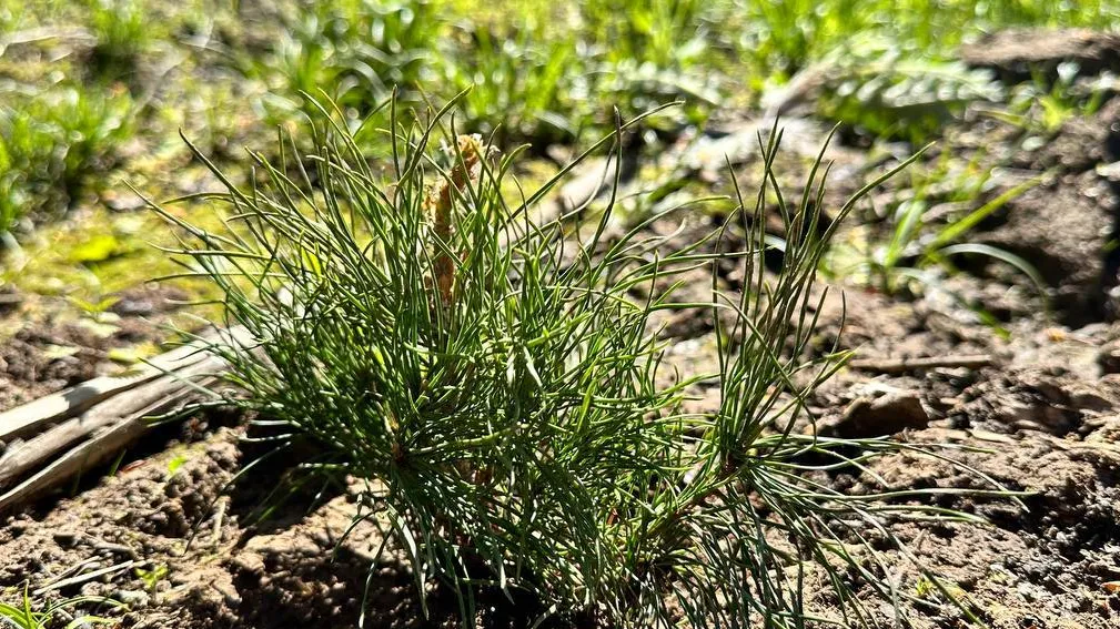 Фото: пресс-служба администрации Можайского м. о.