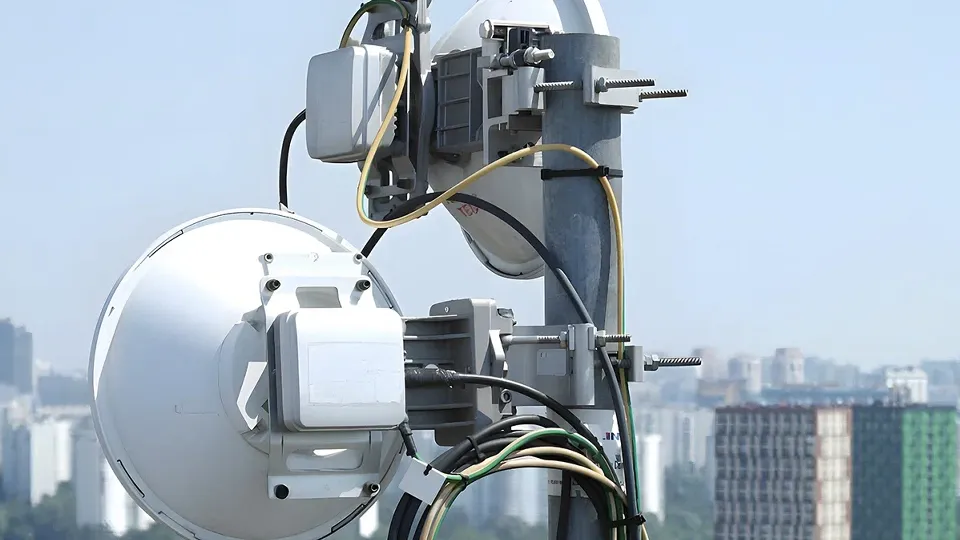 Фото: пресс-служба губернатора и правительства Московской области