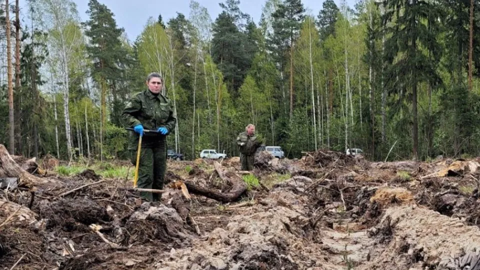 Фото: Комитет лесного хозяйства Московской области