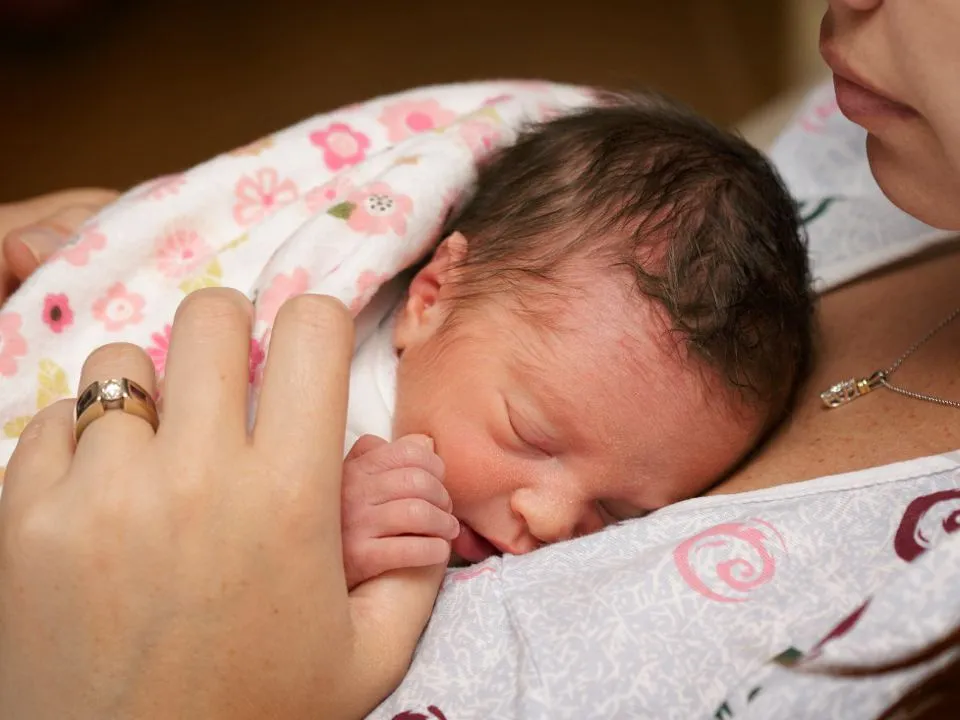 Фото: istockphoto.com/CaseyHillPhoto