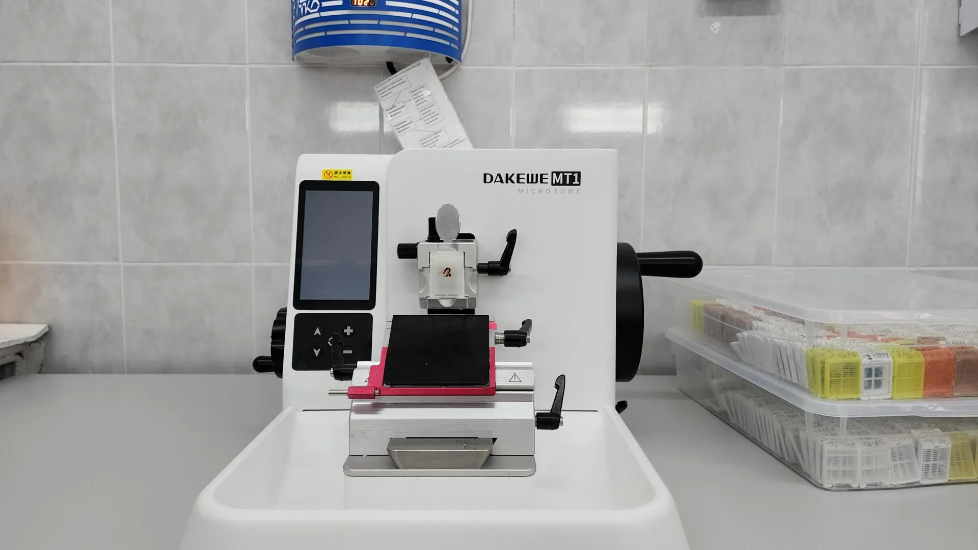 Фото: Ирина Моисеева