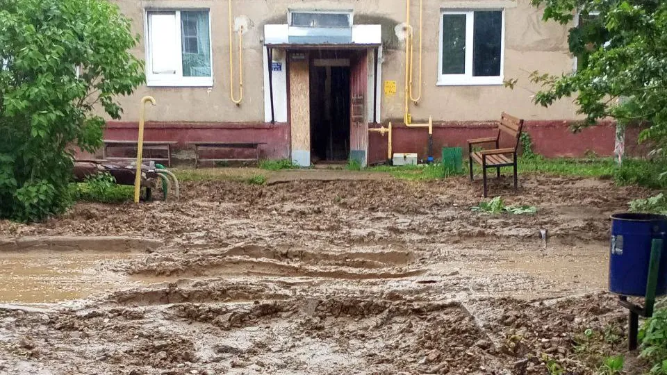 Фото: предоставлено очевидцем