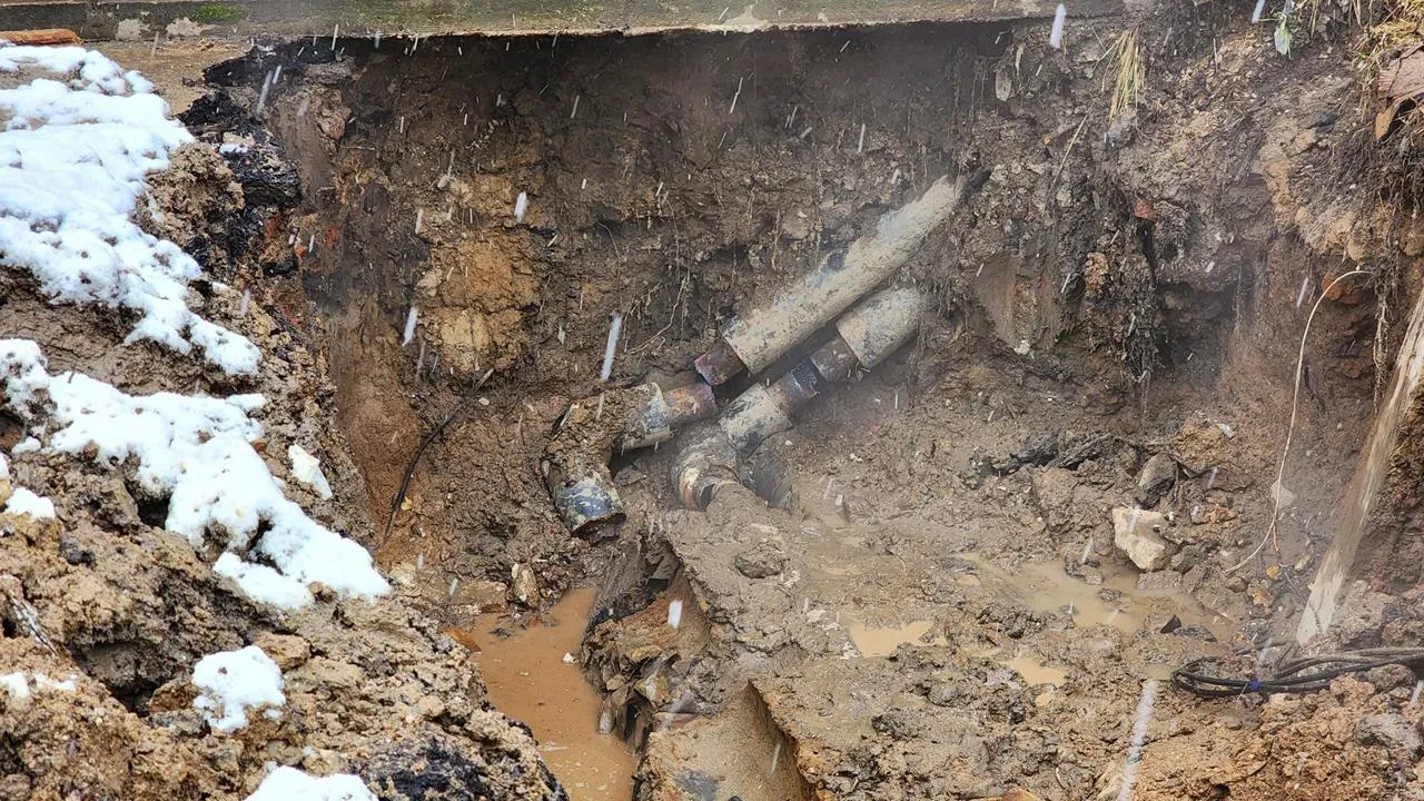 МедиаБанк Подмосковья/Екатерина Данилина