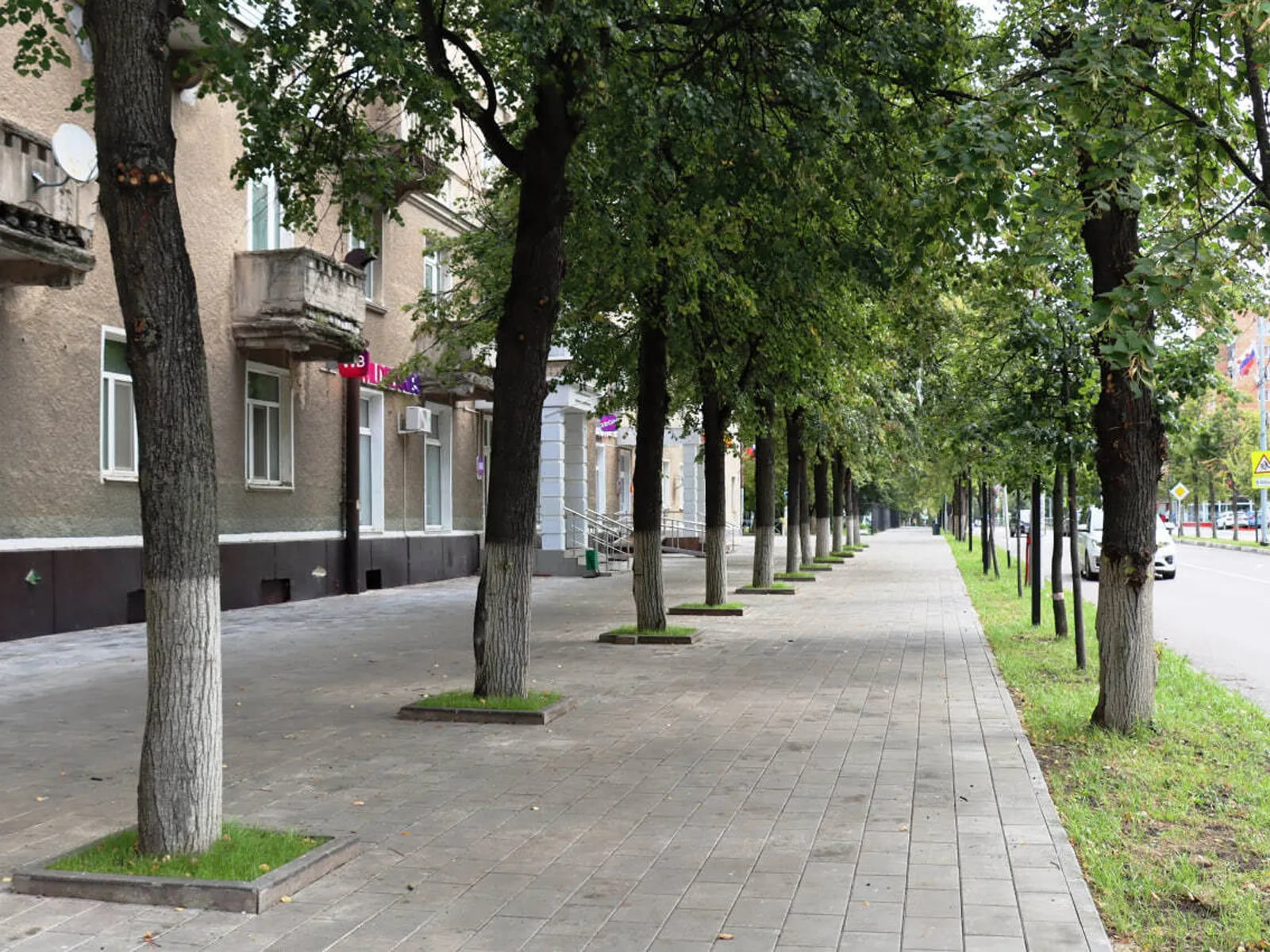 Фото: пресс-служба администрации г.о. Ступино