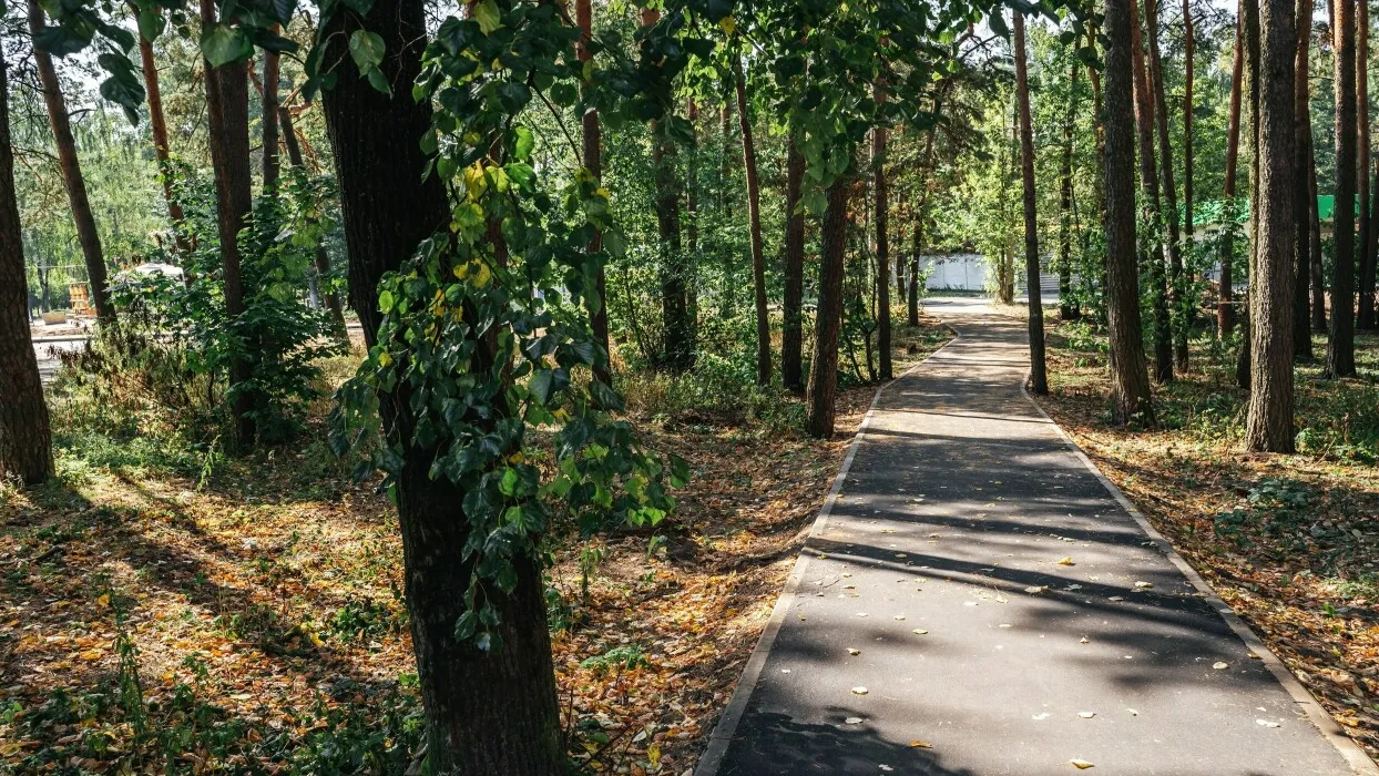 Фото: пресс-служба администрации г.о. Щелково