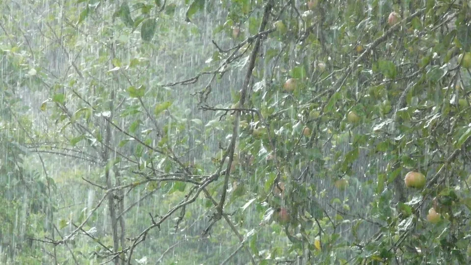 Фото: pxhere.com