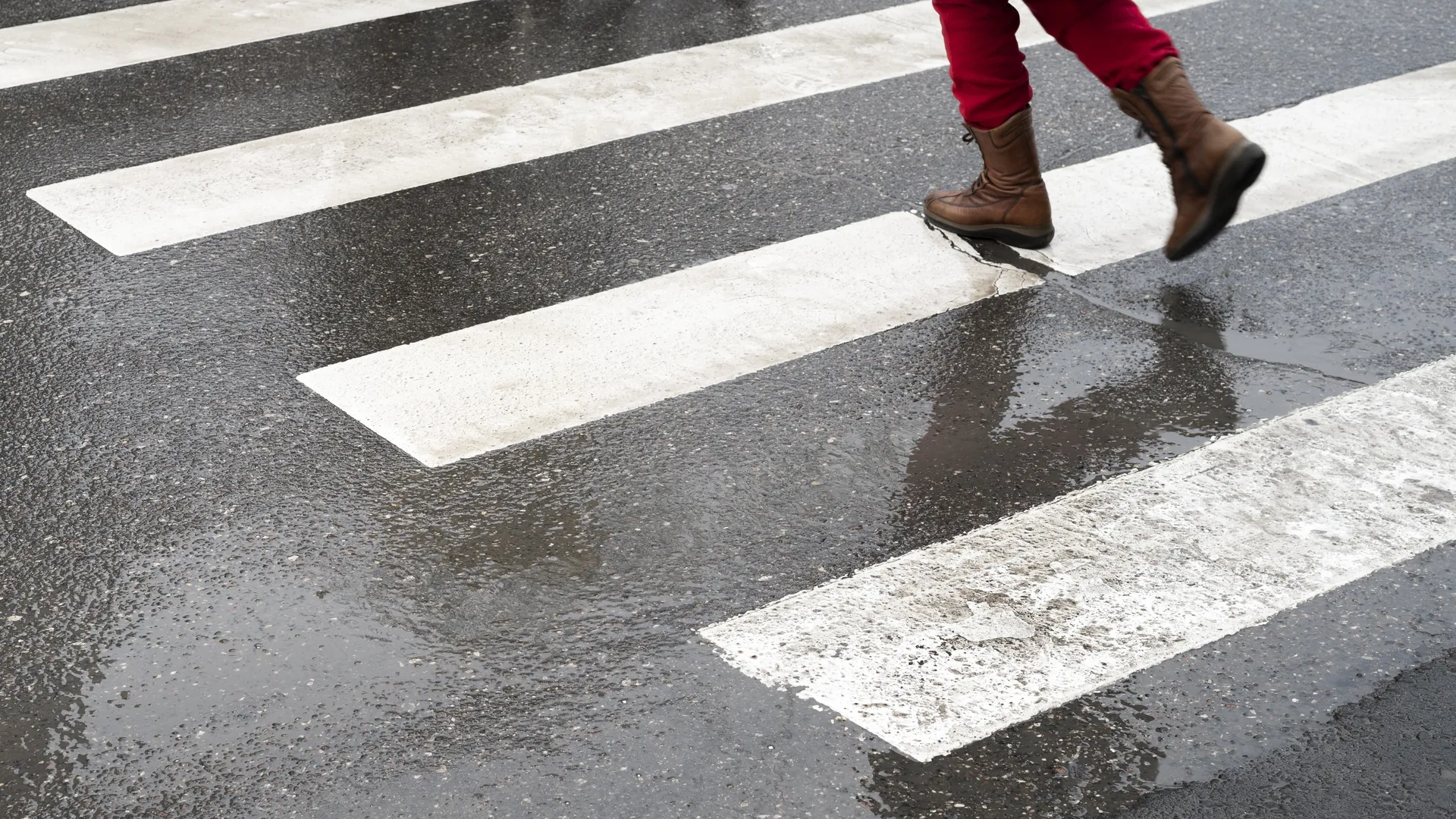 Фото: freepik.com