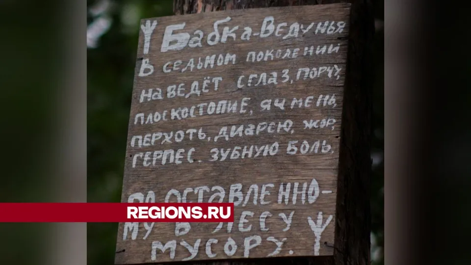 Фото: Сергей Сыроежкин