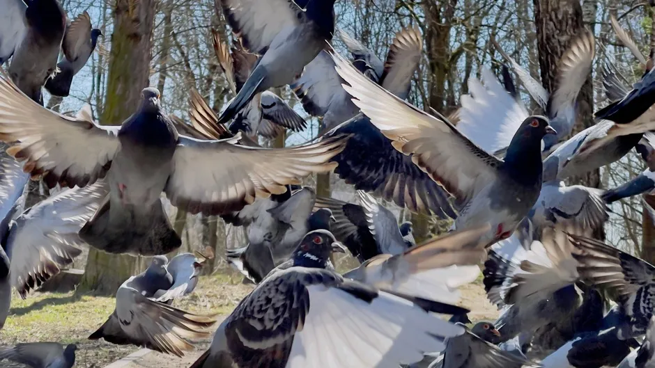 Фото: freepik.com