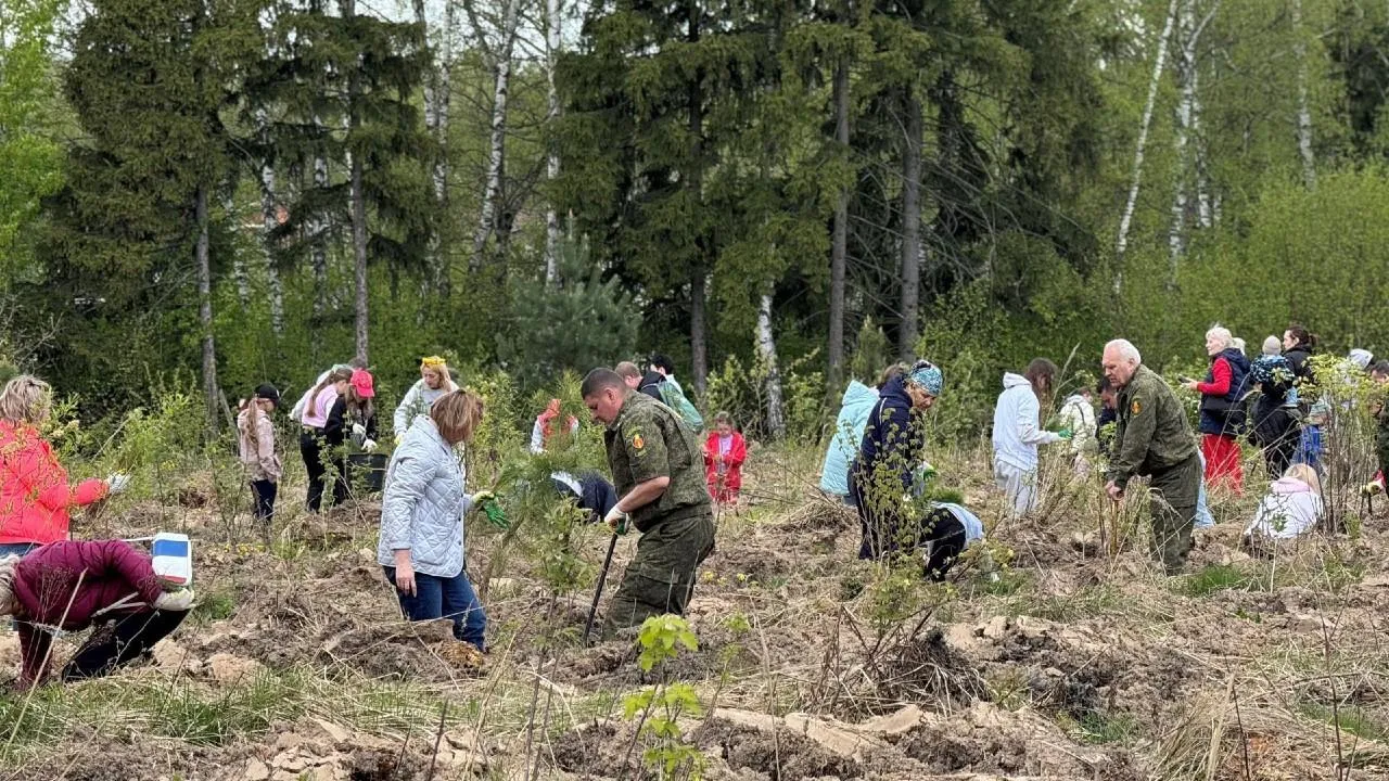Более 3,5 тыс. человек приняли участие в акции «Сад памяти» в лесах Подмосковья
