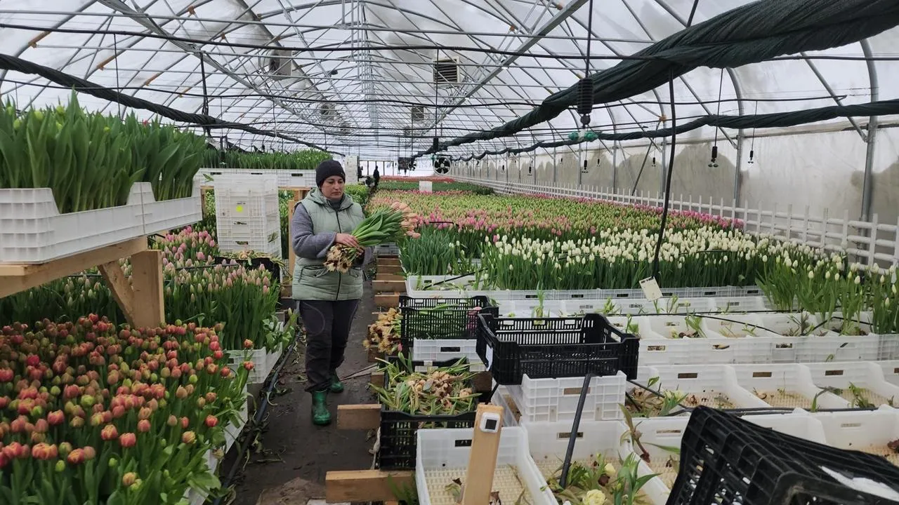 REGIONS/Валерий Гореловский