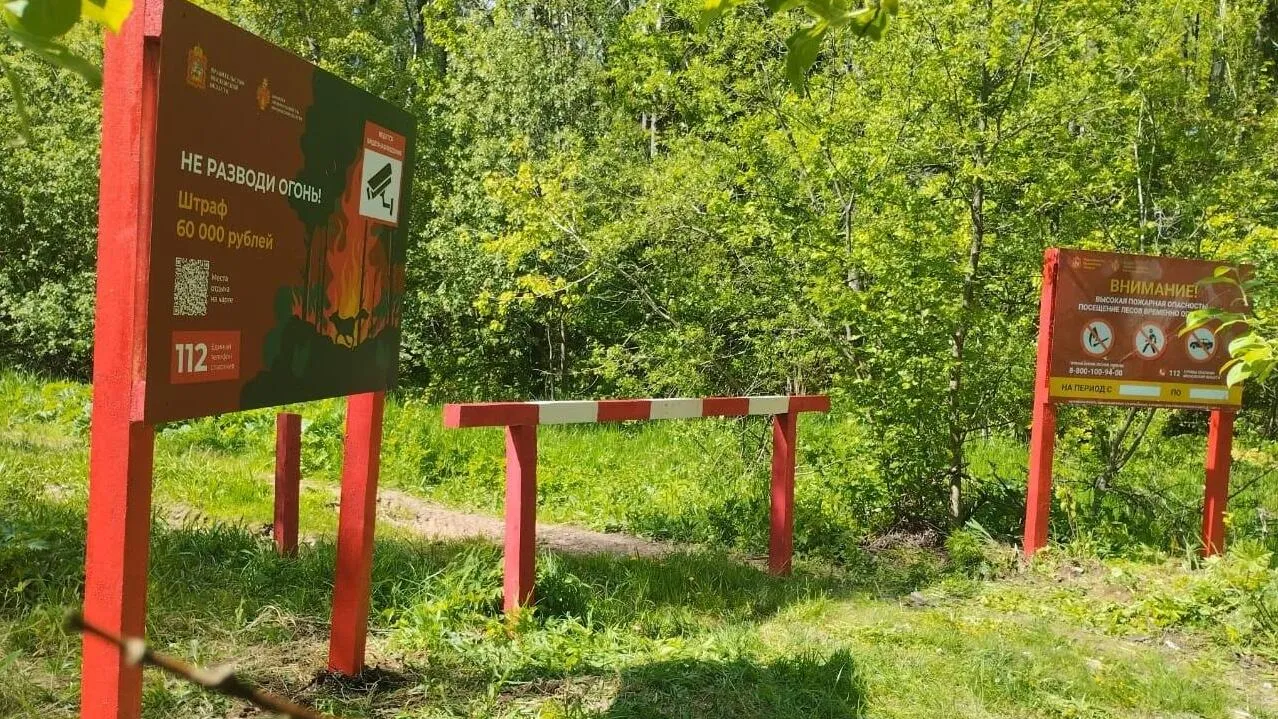 Фото: Комитет лесного хозяйства МО