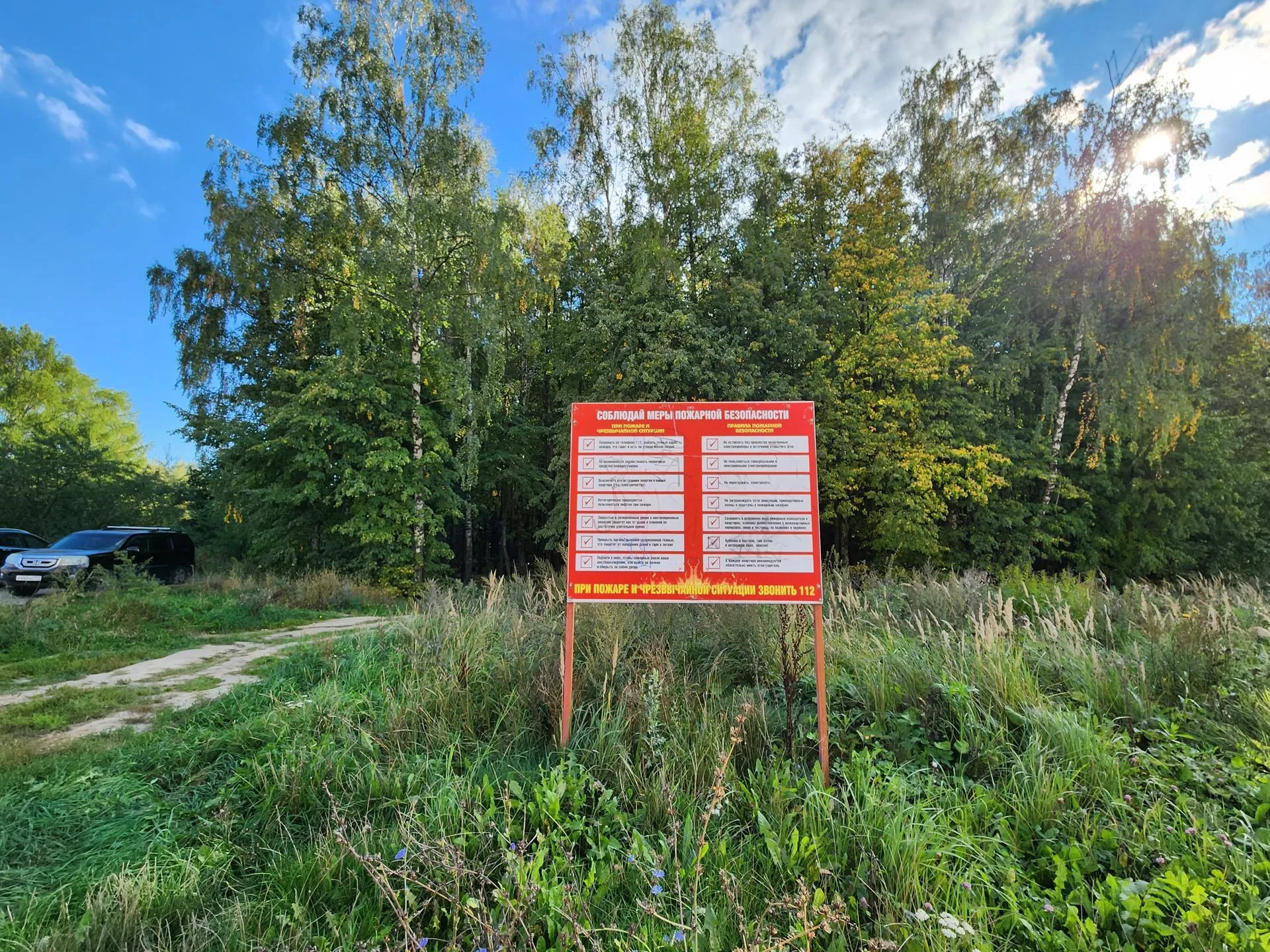 Лесопарковая зона микрорайона Супонево/фото: Хавива Фонина