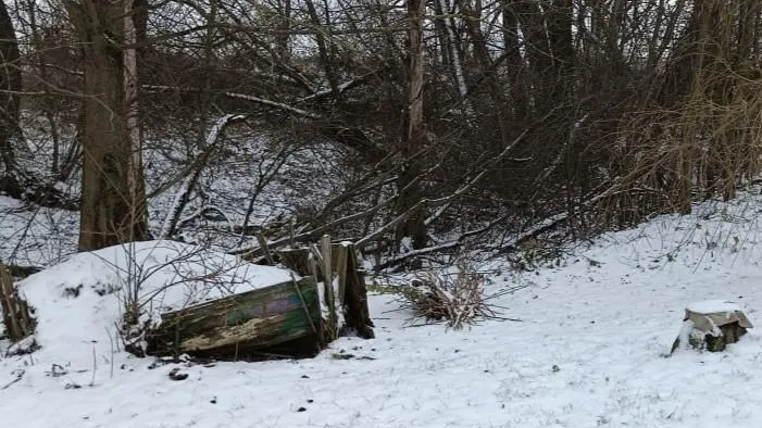 Комитет лесного хозяйства МО