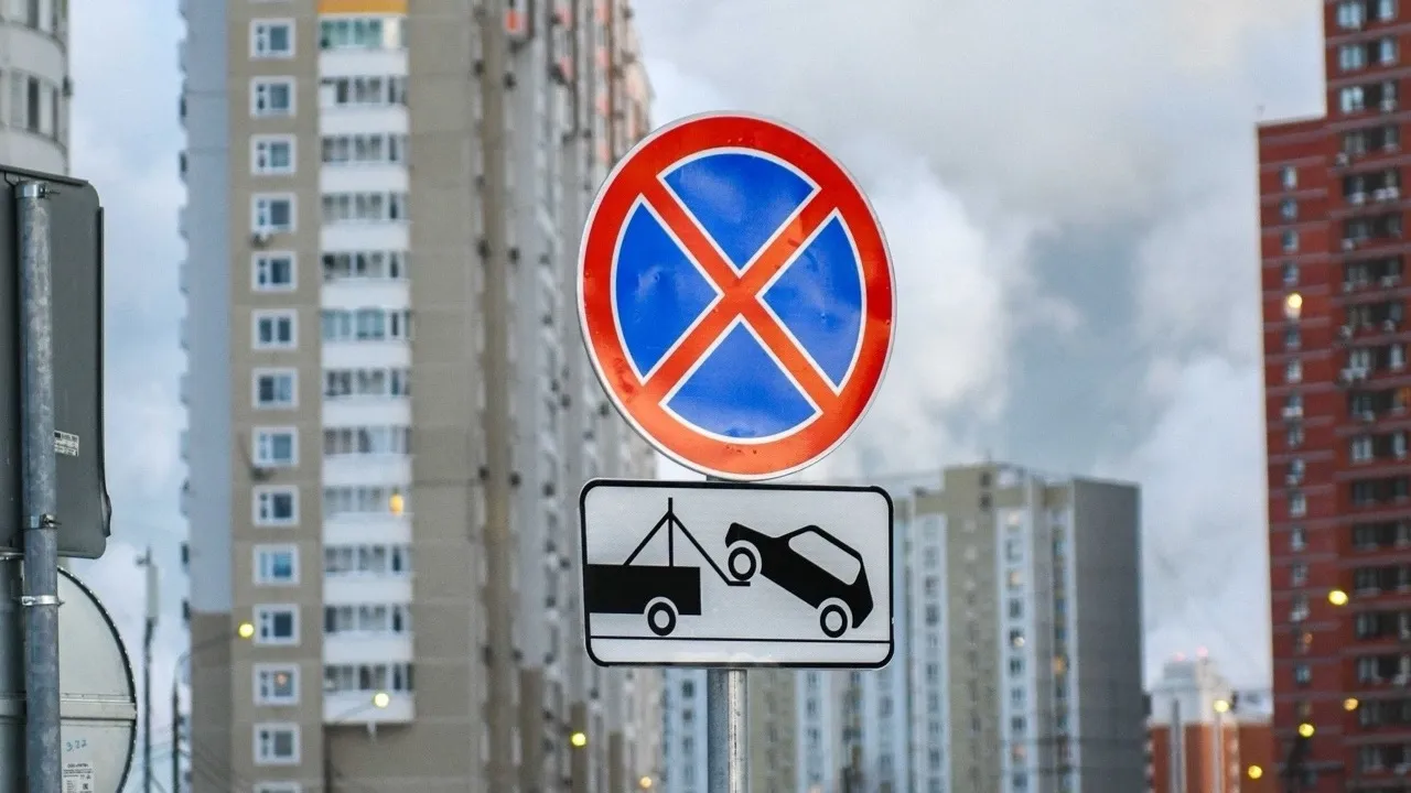 Фото: пресс-служба администрации г.о. Химки