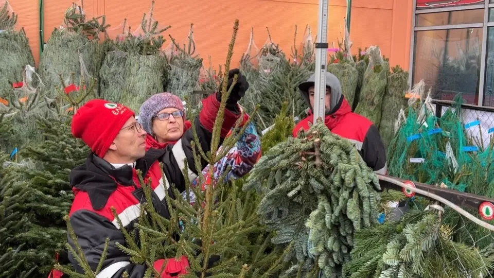 Фото: МедиаБанк Подмосковья/Валерия Ерофеева