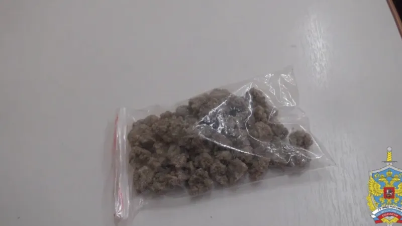 Сто граммов героина нашли у приезжей из Тульской области на остановке в Люберцах