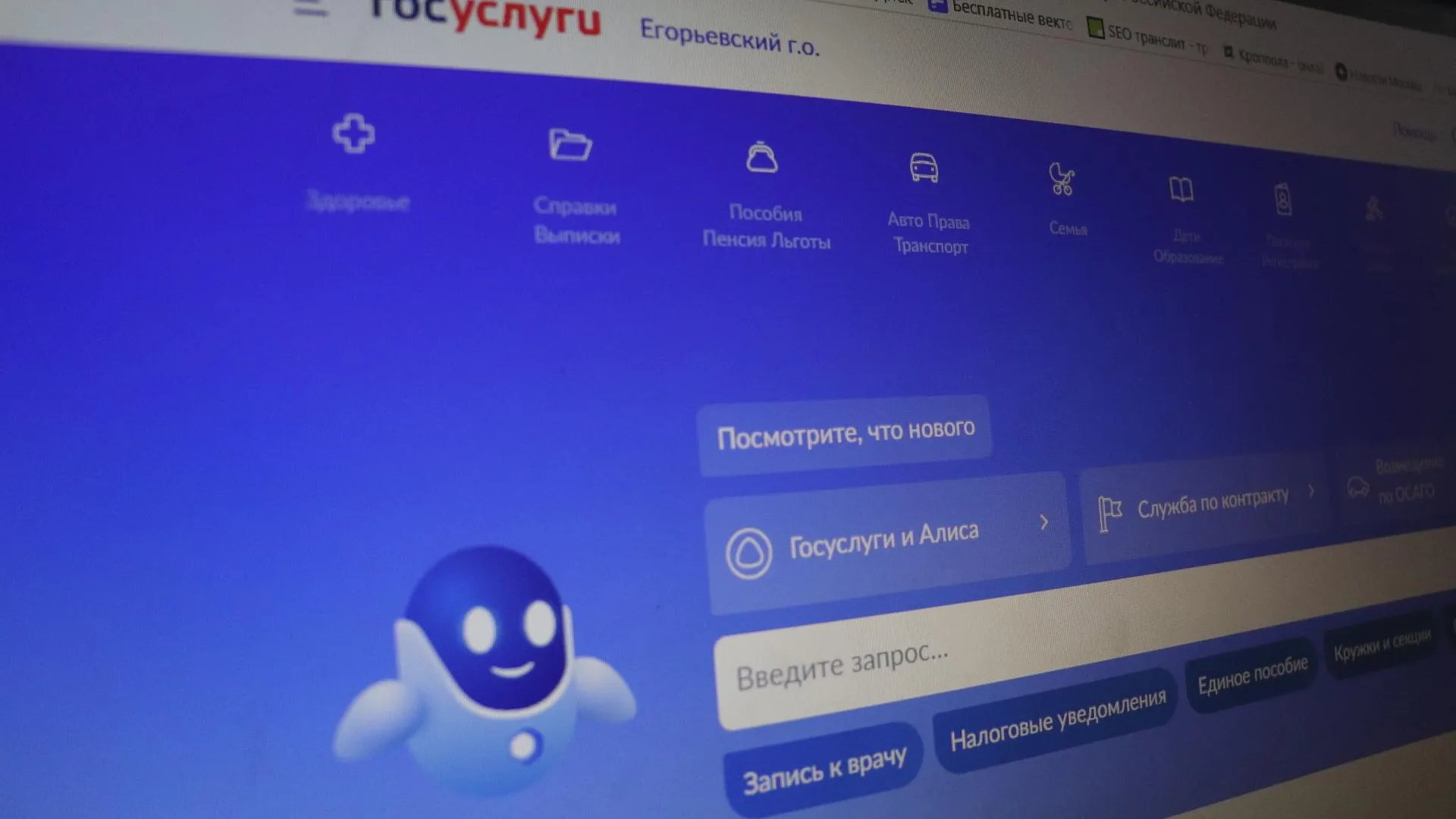 Фото: Василий Тремасов