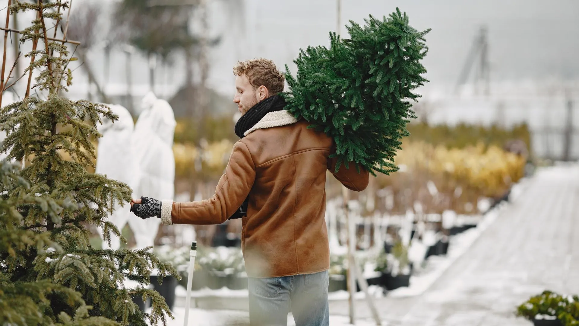 Фото: freepik.com