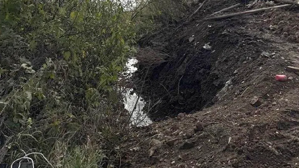 Фото: Министерство экологии и природопользования Московской области