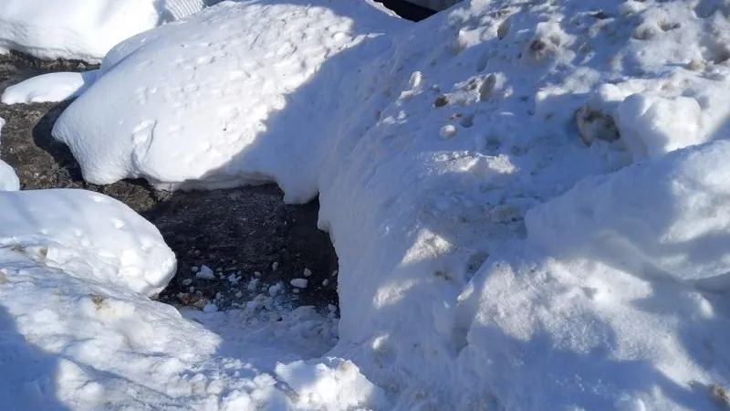 Минэкологии МО