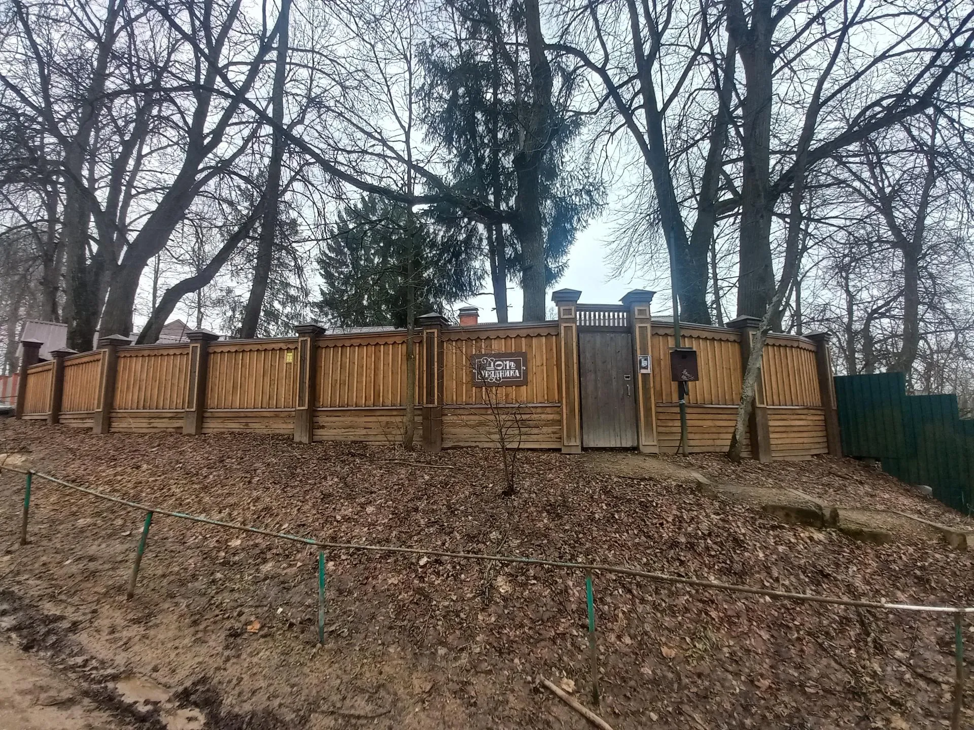 Фото: Елена Шумакова