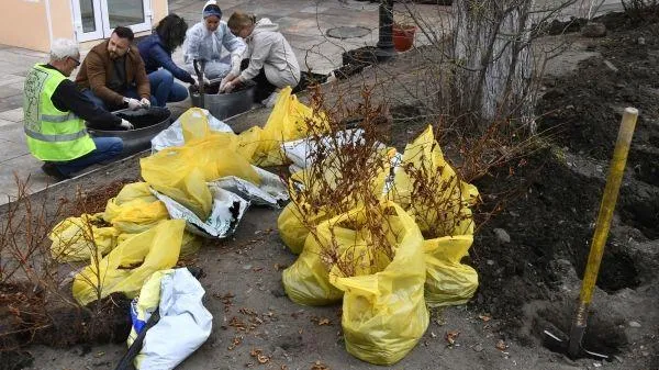 Подготовка к субботнику стартовала в Подмосковье